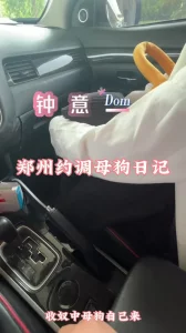 钟意～郑州约调母狗上车就脱内裤